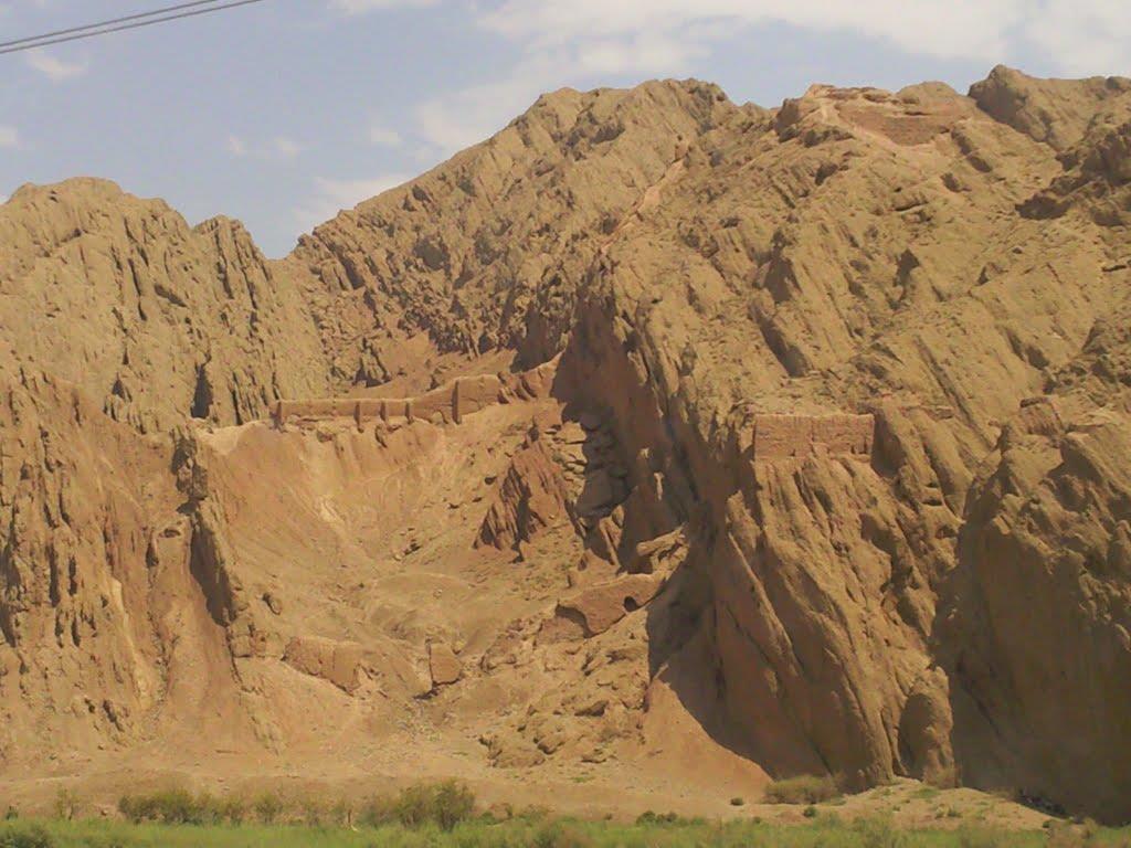بنه کوه